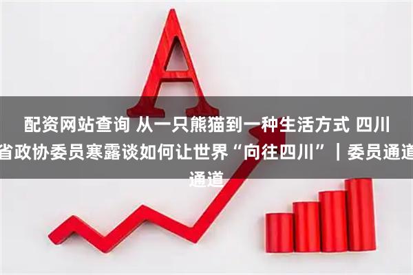 配资网站查询 从一只熊猫到一种生活方式 四川省政协委员寒露谈如何让世界“向往四川”｜委员通道